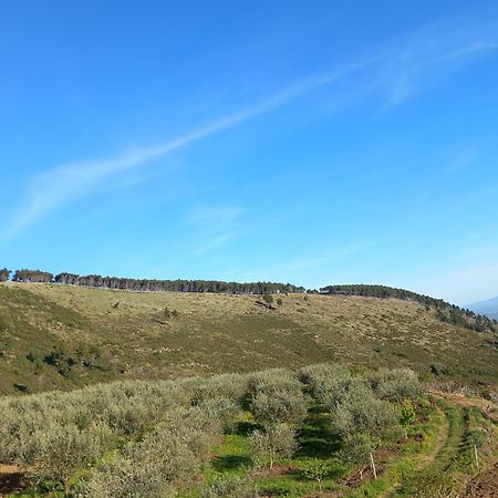 Vila Dean Берат Екстериор снимка